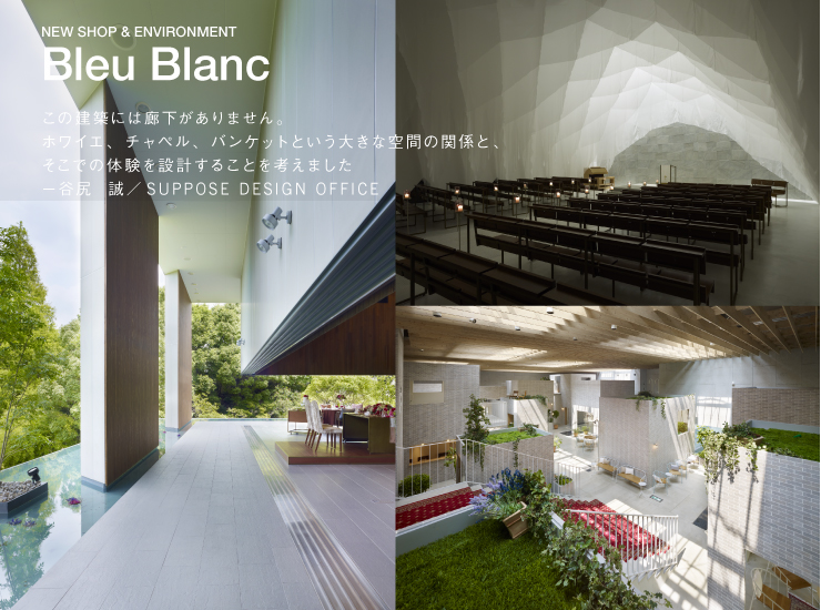 NEW SHOP & ENVIRONMENT Bleu Blanc