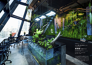 WORK, HOME and GREEN